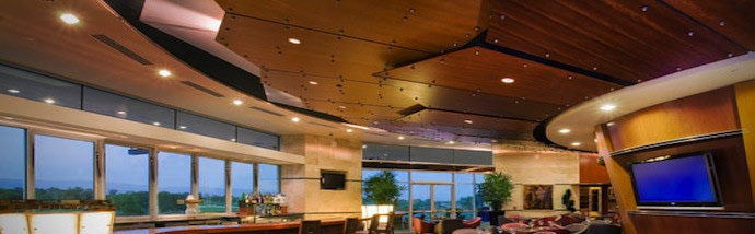 T-Bar Ceilings and Speciality Ceiling Systems